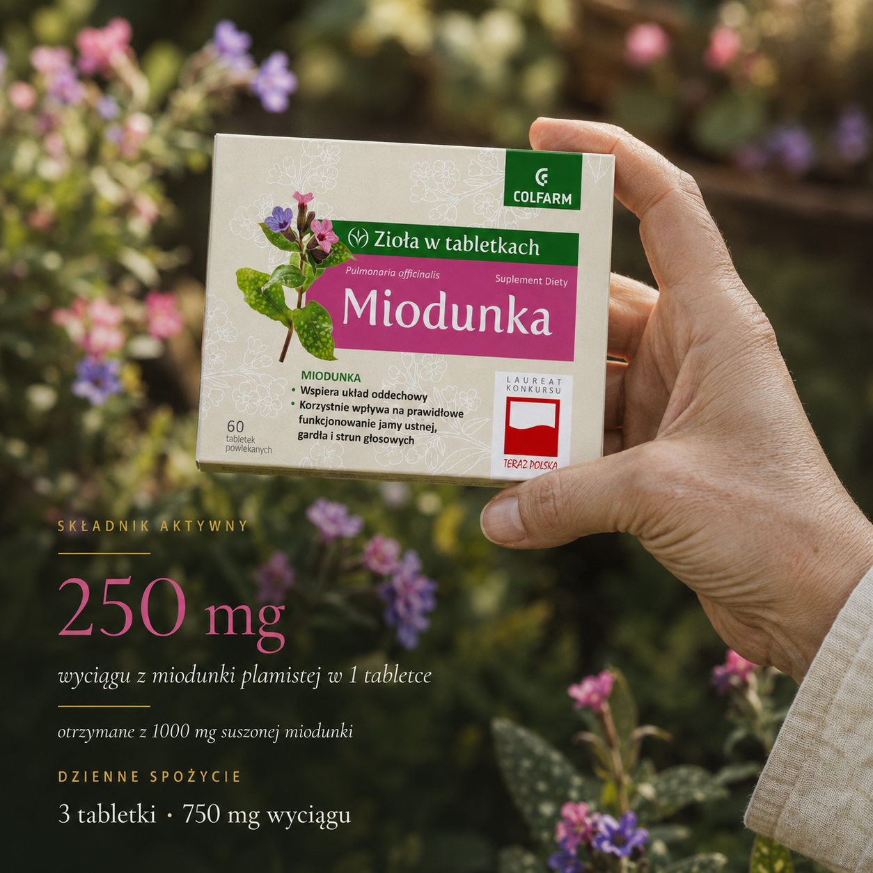 Miodunka (60 tabl.)