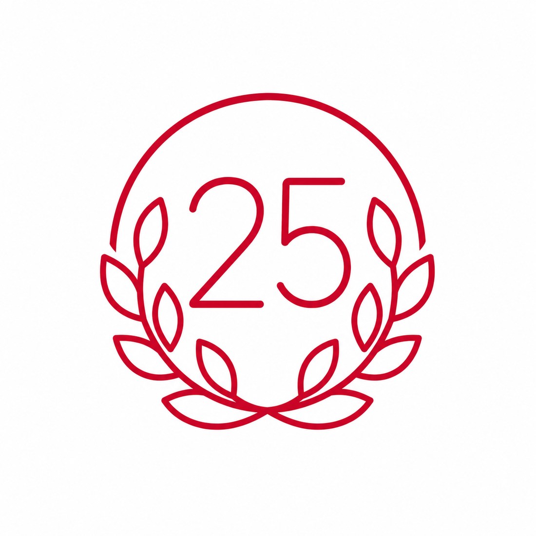 <em><strong>25 lat doświadczenia</strong></em>